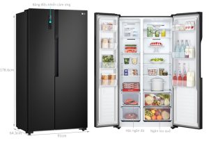 Tủ Lạnh LG Inverter 519 Lít GR-B256BL