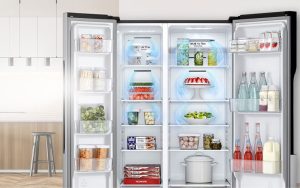 Tủ Lạnh LG Inverter 519 Lít GR-B256BL