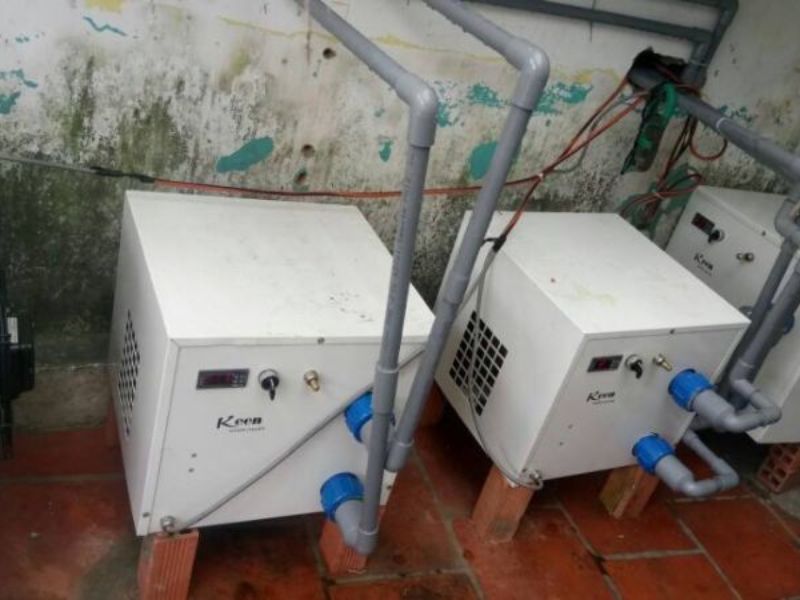 Máy làm lạnh nước hồ cá
