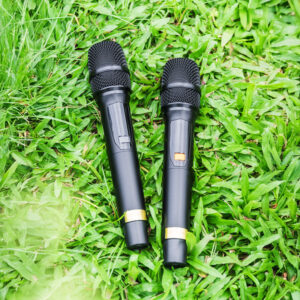 Loa Kéo Nanomax SK-15Q4