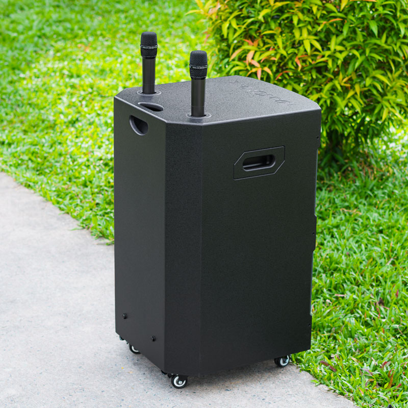 Loa Kéo Nanomax SK-15Q5