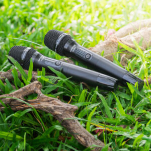 Loa Kéo Điện Nanomax Pro-603 Bass Đôi 40cm 2200w