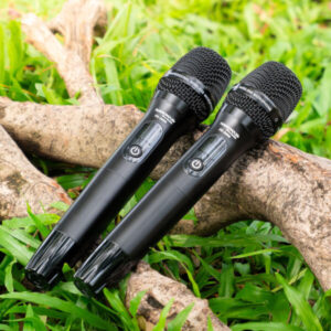 Loa Kéo Điện Nanomax Pro-603 Bass Đôi 40cm 2200w