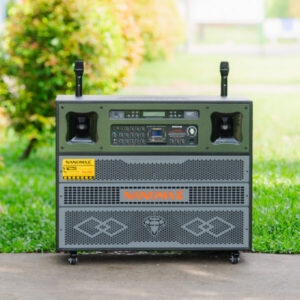 Loa Kéo Điện Nanomax Pro-603 Bass Đôi 40cm 2200w