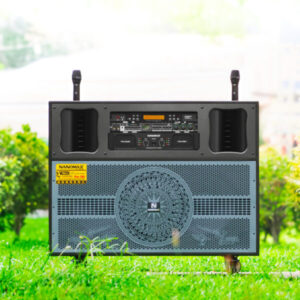 Loa Kéo Điện Nanomax Pro-703 Bass Đôi 40cm 2400w