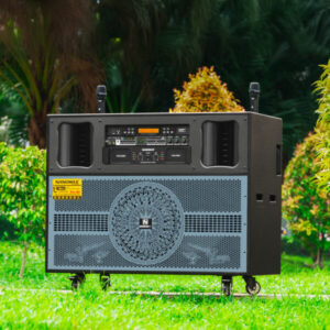 Loa Kéo Điện Nanomax Pro-703 Bass Đôi 40cm 2400w