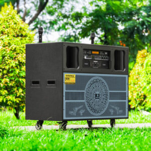 Loa Kéo Điện Nanomax Pro-703 Bass Đôi 40cm 2400w